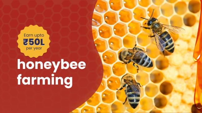 Course Trailer: Honey Bee Farming Course - Earn Over 50 Lakh Per Year. Watch to know more.