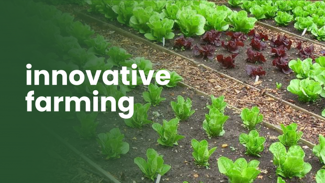 Course Trailer: Integrated Farming Course - Earn 3.5 lakh/year without investment. Watch to know more.