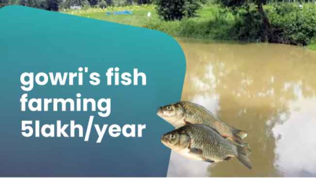 Course Trailer: Gowri Fish Farming Course - Earn 5 lakh a year/acre. Watch to know more.