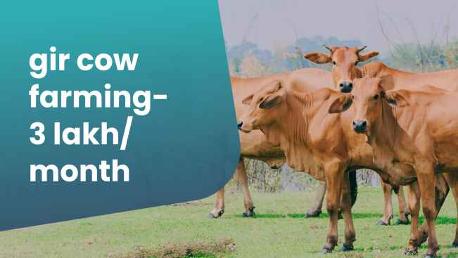 Course Trailer: Gir Cow Farming Course - Earn Rs 3 lakh/month. Watch to know more.