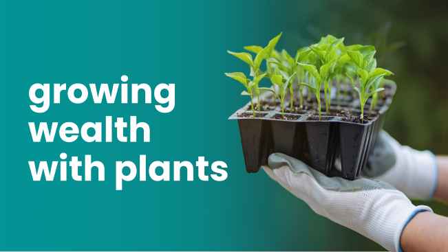 Plant Nursery Business Course - Earn 5 lakh/month - Online course on ffreedom app