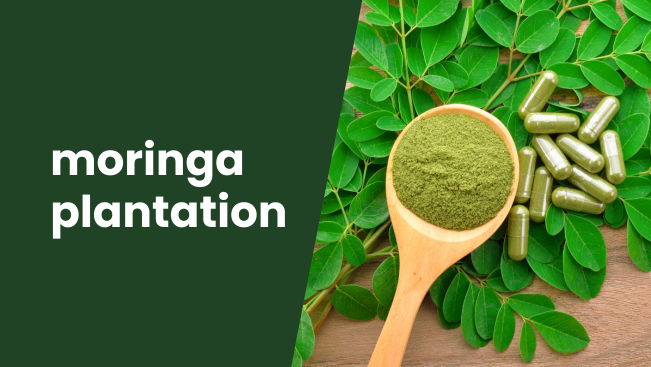 Course Trailer: Agripreneurship- Success Story of Moringa Super Food!. Watch to know more.