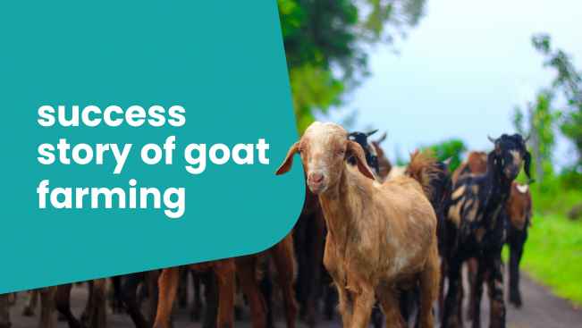 Course Trailer: Agripreneurship - Earn Upto Rs 1 Crore from Beetal Goat Farming. Watch to know more.