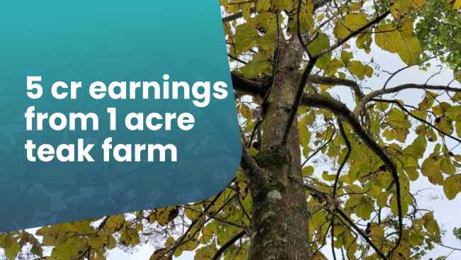 Course Trailer: Teak Wood Farming Course - Earn 5 Cr From 1 Acre Of Land!. Watch to know more.