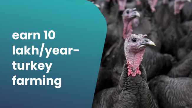 Course Trailer: Turkey Farming Course - Earn 10 lakh/year with 1000 birds. Watch to know more.