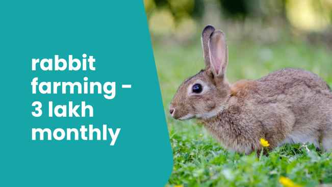 Course Trailer: Rabbit Farming - Earn Profit Up to 3 Lakh Per Month. Watch to know more.