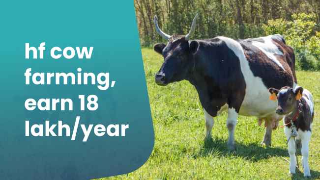 Course Trailer: HF Cow Farming Course – Earn 18 lakh/year with 25 cows!. Watch to know more.