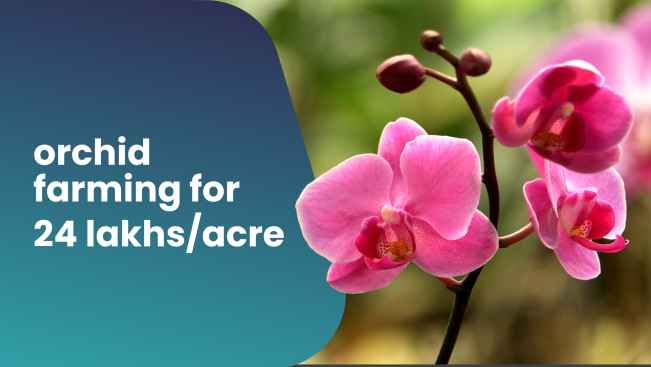 Course Trailer: Orchid Flower Farming Course - Earn 24 Lakhs/Acre. Watch to know more.