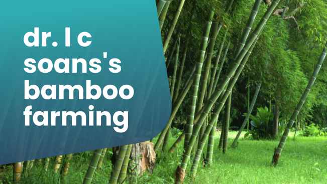Course Trailer: Bamboo Farming Course - Learn from Dr. L C Soans!. Watch to know more.