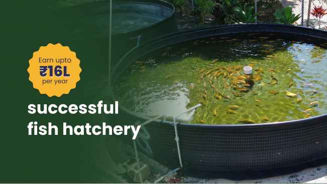 Course Trailer: Start a Profitable Fish Hatchery: 16 Lakh Profit / Year. Watch to know more.