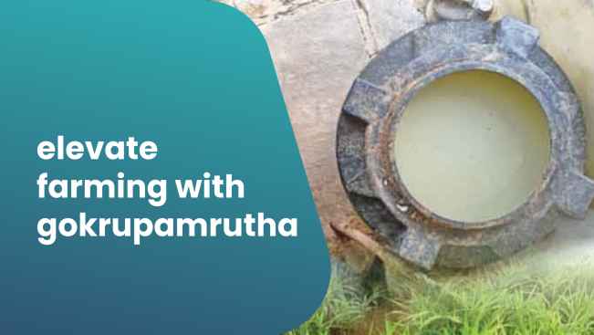 Course Trailer: Importance of Gokrupamrutha in Agriculture. Watch to know more.