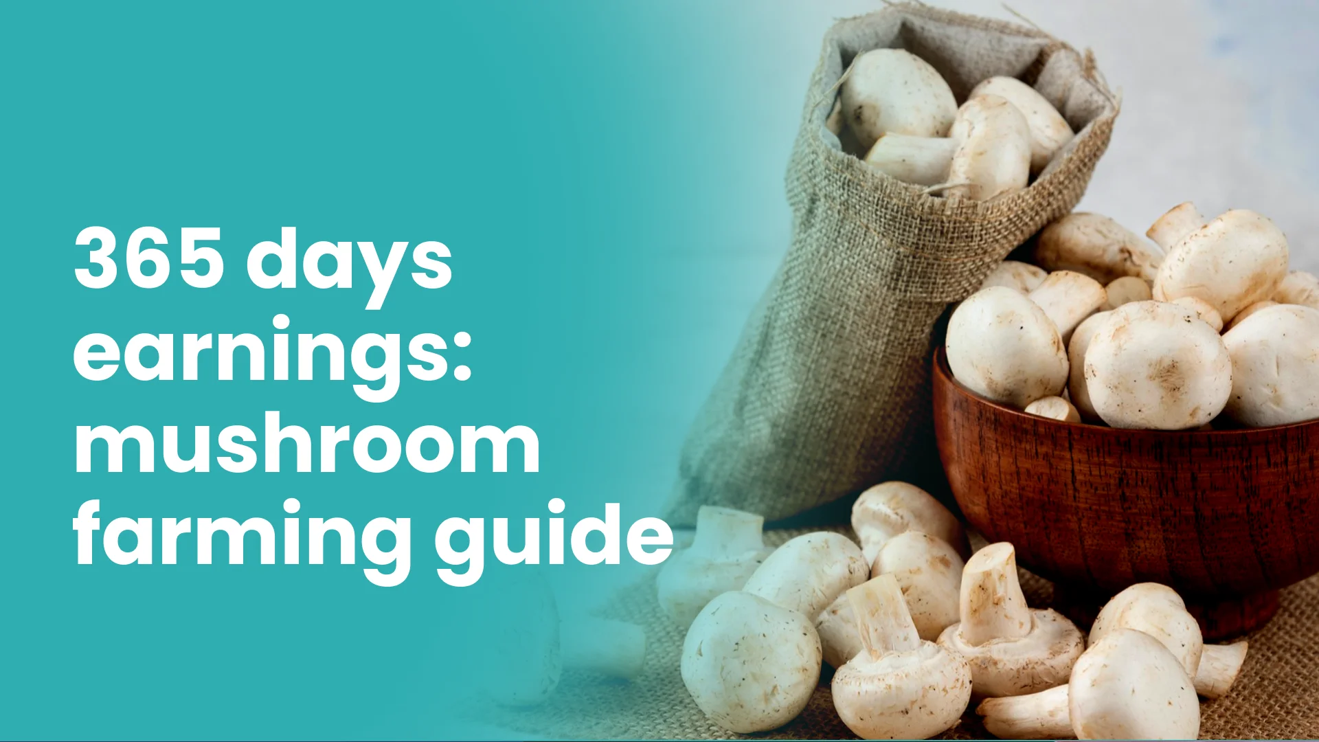 Course Trailer: Earn throughout the year with Mushroom Farming. Watch to know more.