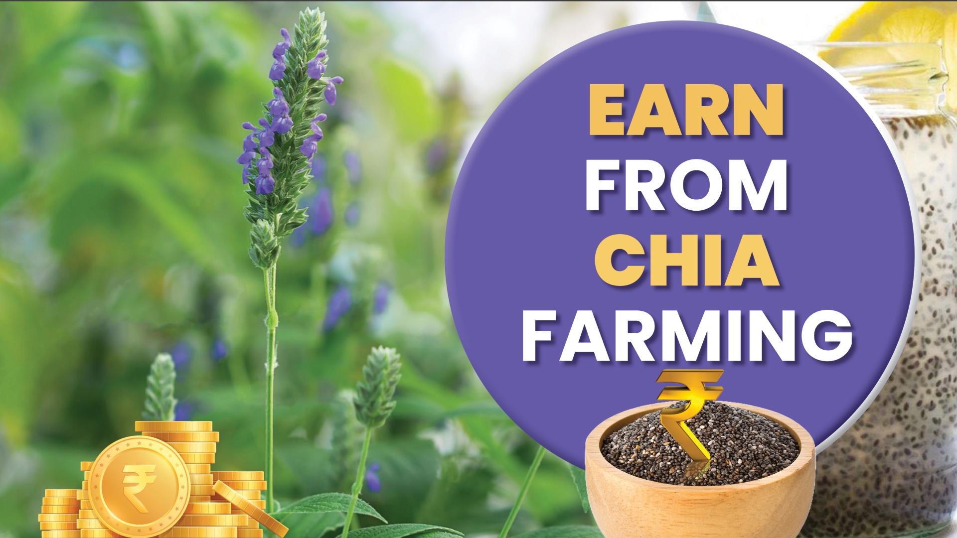 Course Trailer: Chia Farming Course-Earn within 3 Months. Watch to know more.