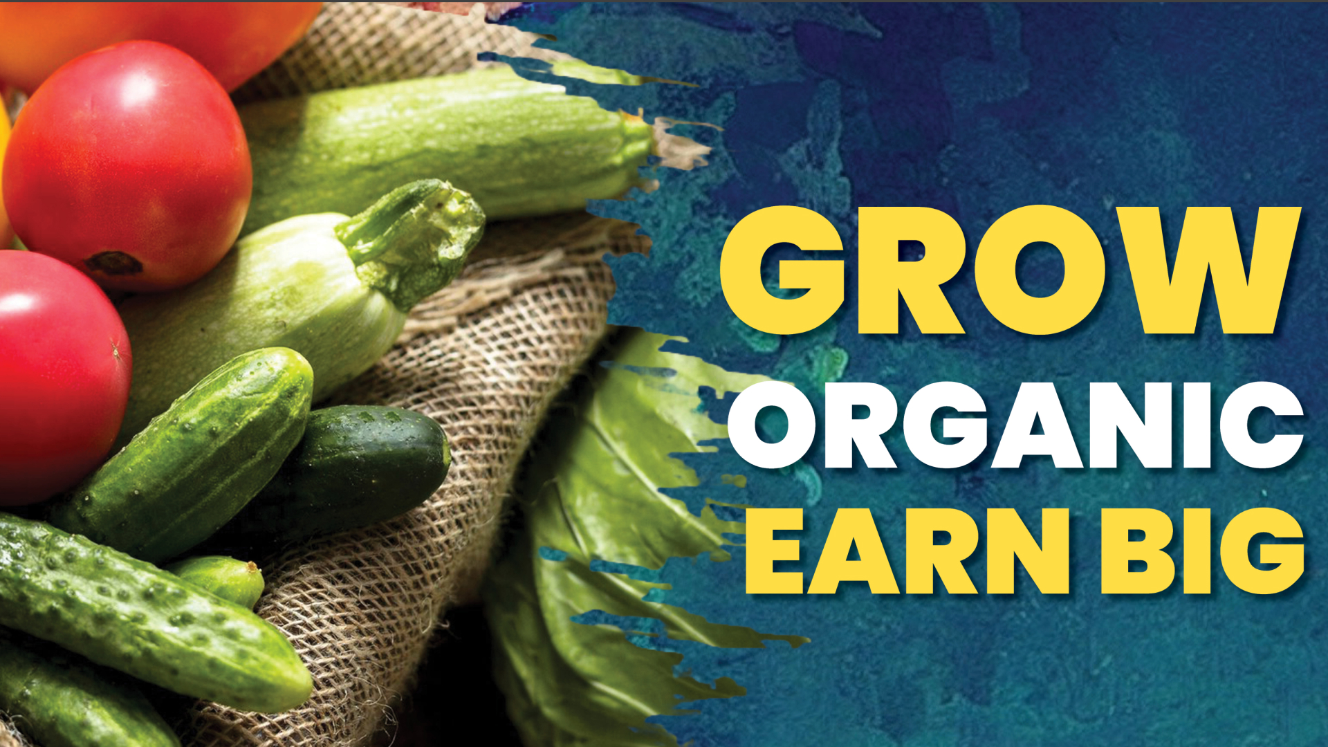 Course Trailer: Organic Farming Course – Invest Less Earn More. Watch to know more.