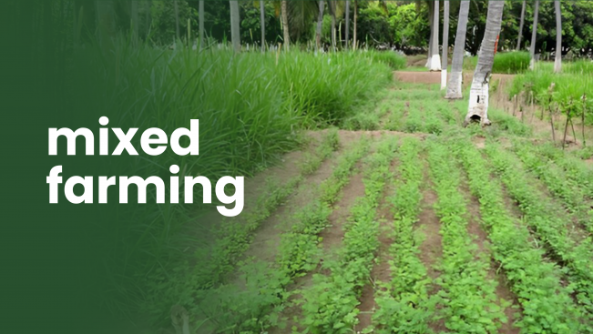 Course Trailer: Integrated Farming - Earn 12 Lakhs in 3.5 Years . Watch to know more.