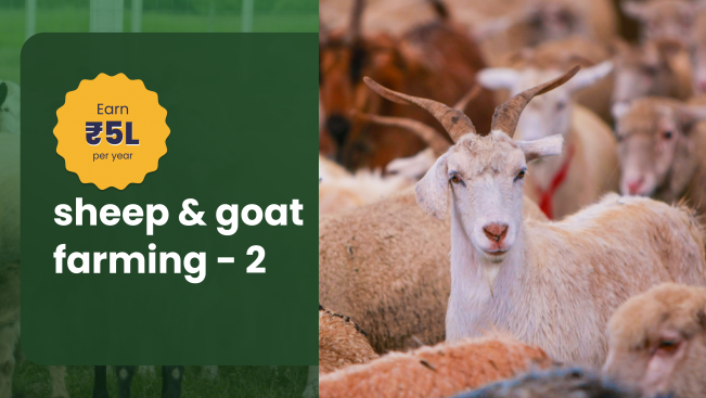 Course Trailer: Goat And Sheep Farming Course Earn Upto 5 Lakhs Net Profit Per Year. Watch to know more.