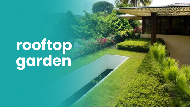 Course Trailer: Start Terrace Garden Business - Earn from your Roof Top. Watch to know more.