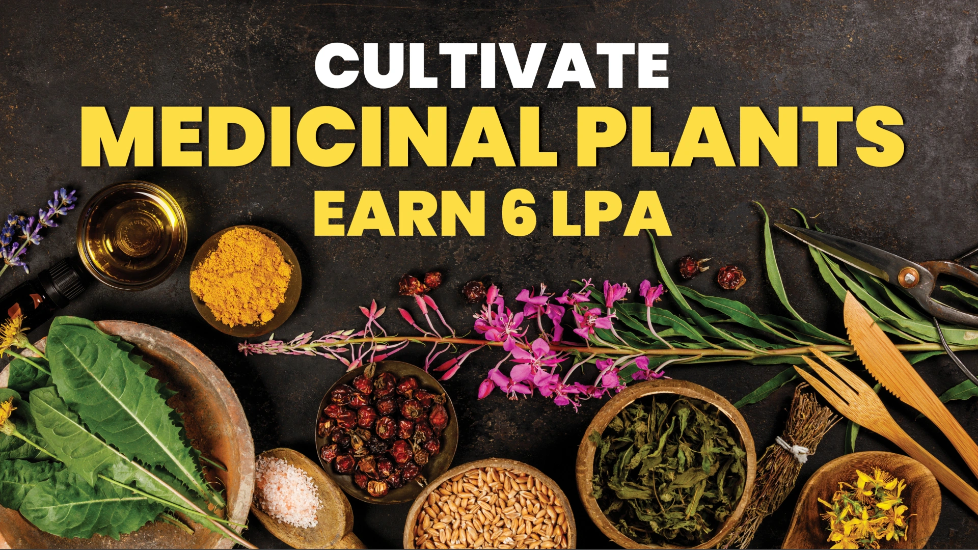 Course Trailer: Medicinal Plant Farming Course - Earn 6 lakhs per annum. Watch to know more.