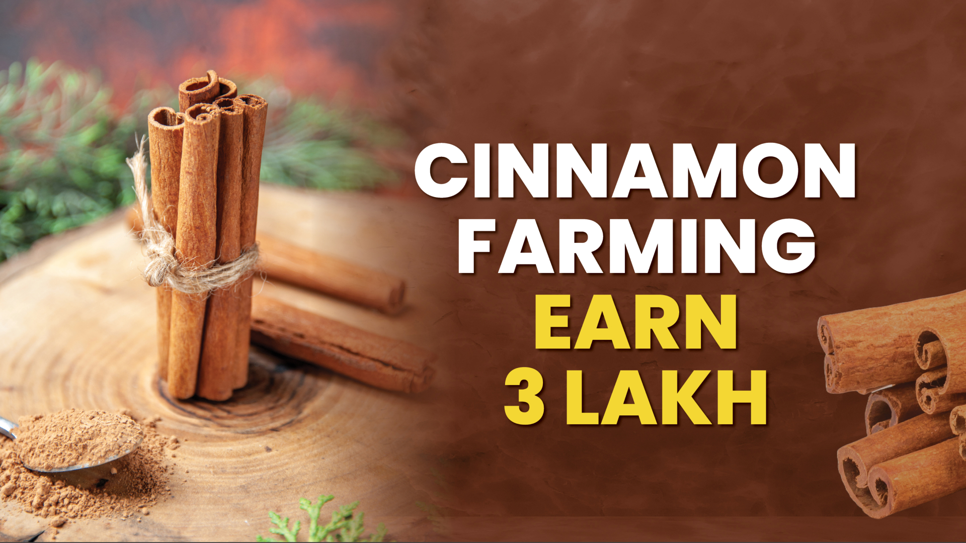 Course Trailer: Cinnamon Cultivation - Earn 3 lakhs from 120 plants. Watch to know more.