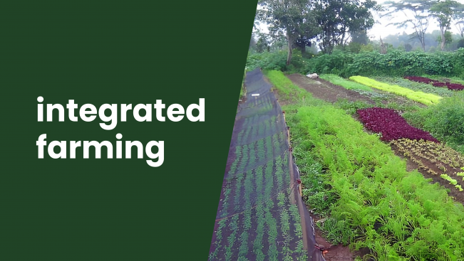 Course Trailer: Integrated Farming for Small Farmers- Small land, Big income!. Watch to know more.