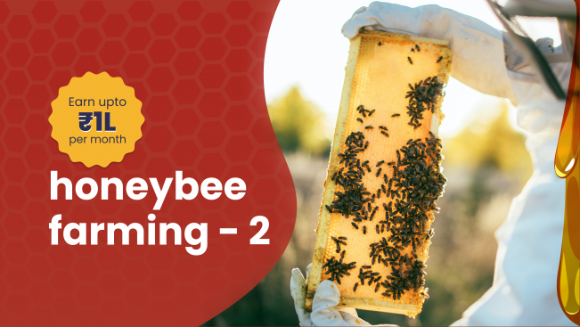 Course Trailer: Honey Bee Farming Course - Earn upto 1 Lakh Per Month!. Watch to know more.