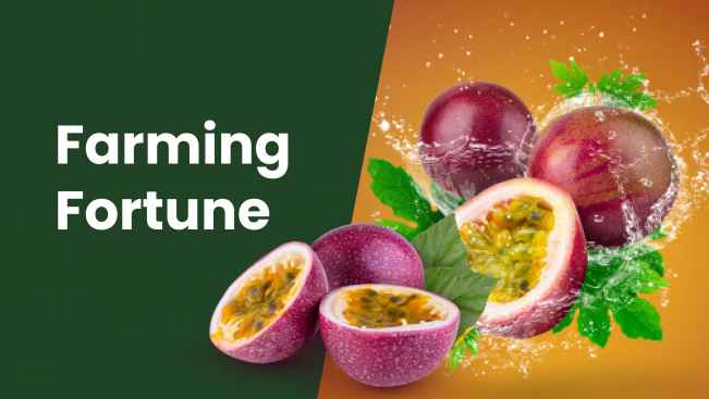 Course Trailer: Passion Fruit Farming - Earn up to 15 lakhs per year. Watch to know more.