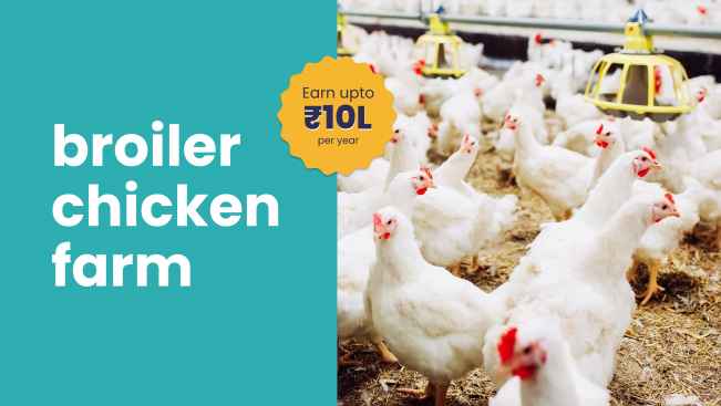 Setup A Broiler Chicken Farm - Earn Up To 10 lakh Per Year! - Online course on ffreedom app