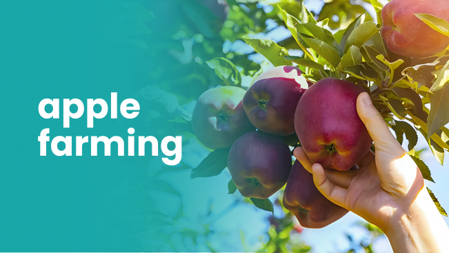 Course Trailer: Apple Farming Course - Earn upto 9 lakhs Profit per acre. Watch to know more.