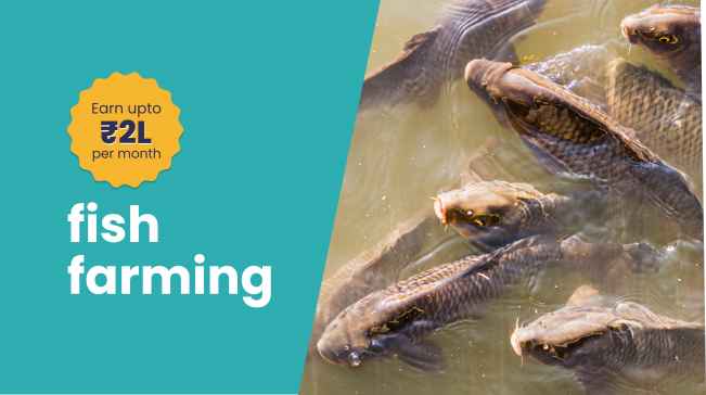 Course Trailer: Fish Farming Course - Earn upto Rs 20 Lakh/Year. Watch to know more.
