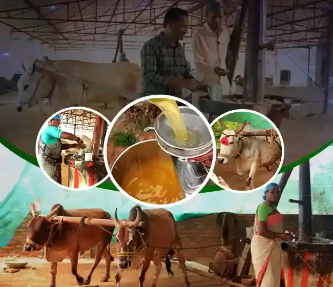Course Trailer: Bull Driven/Cold Pressed Oil Mill - Earn Up To 1 Lakh/Month. Watch to know more.
