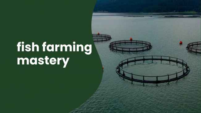 Course Trailer: Cage Culture Fish Farming - Earn 3.5 Lakh Profit/Cage/Year. Watch to know more.