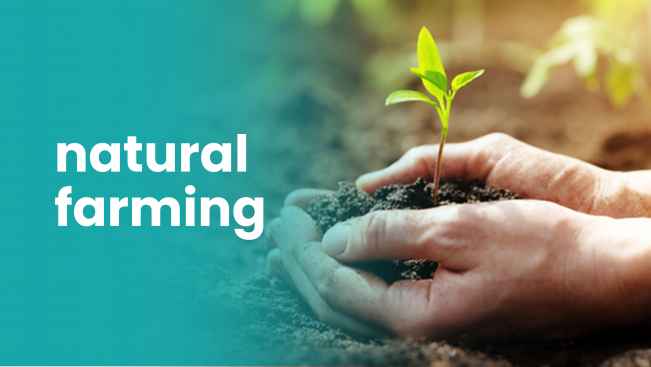 Course Trailer: Agripreneurship:Secrets to Double Profits in Natural Farming. Watch to know more.