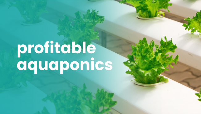 Course Trailer: Aquaponics Farming Course - Earn up to 10 Lakh/Year in 3000 Sq.ft. Watch to know more.