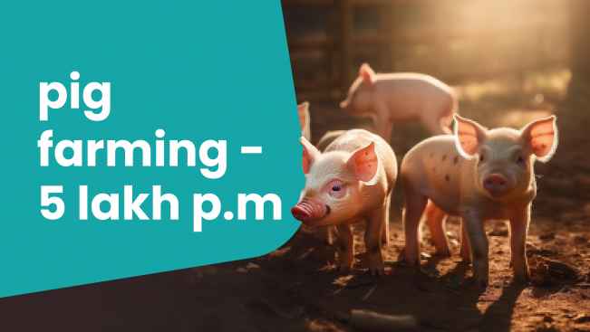 Course Trailer: Ultimate Guide to Planning and Preparation of Pig Farming. Watch to know more.