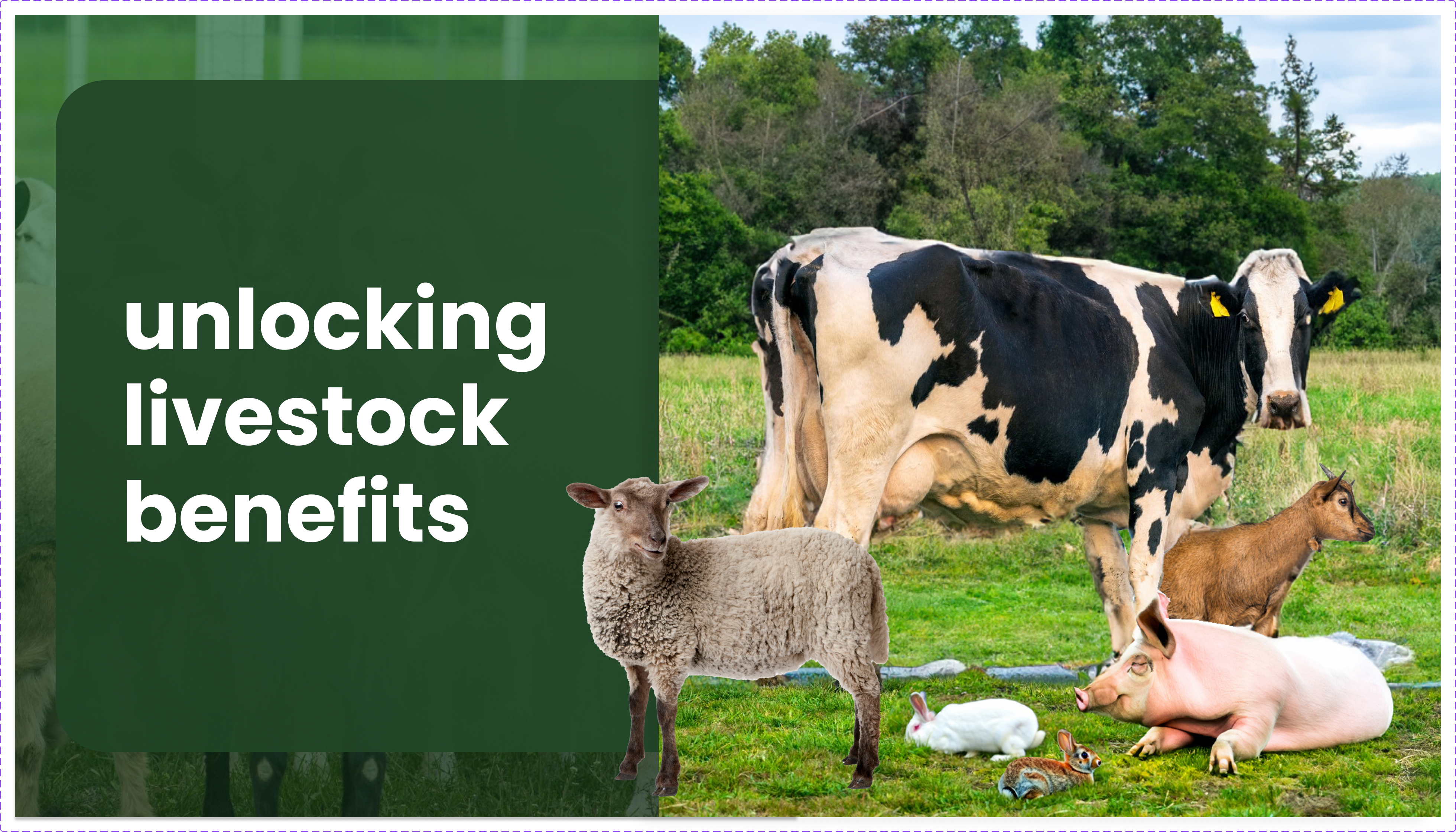 Course Trailer: Livestock Insurance Scheme: Unlocking Insurance Benefits. Watch to know more.