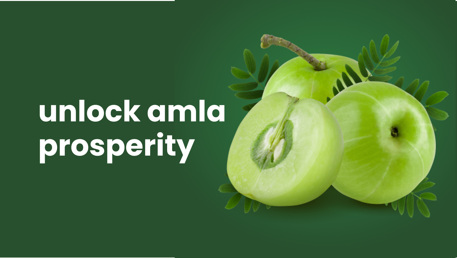 Course Trailer: Agripreneurship: Amla Farming and Value Addition - Earn 70 Lakh/year. Watch to know more.