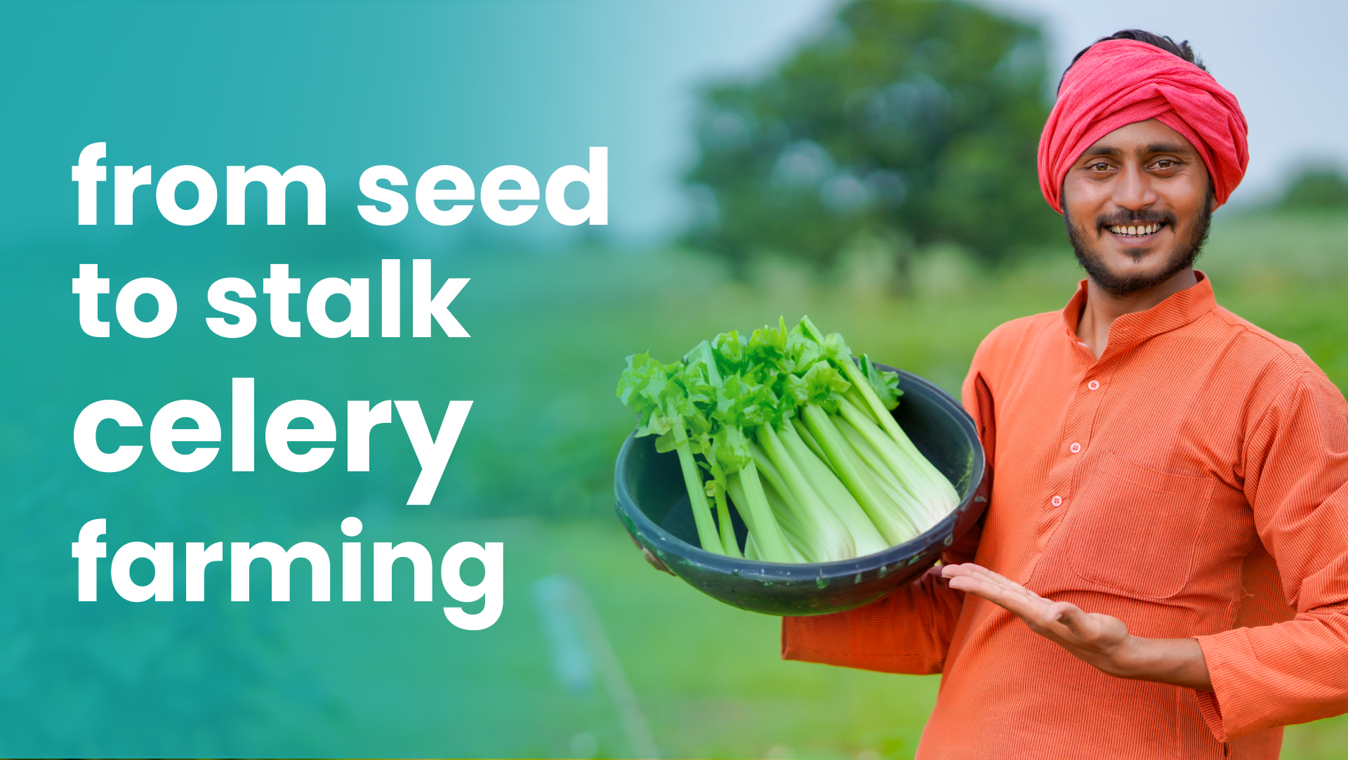 Course Trailer: Celery Farming: A Practical Guide to earn upto 18 Lakh/Yr from 1 Acre. Watch to know more.