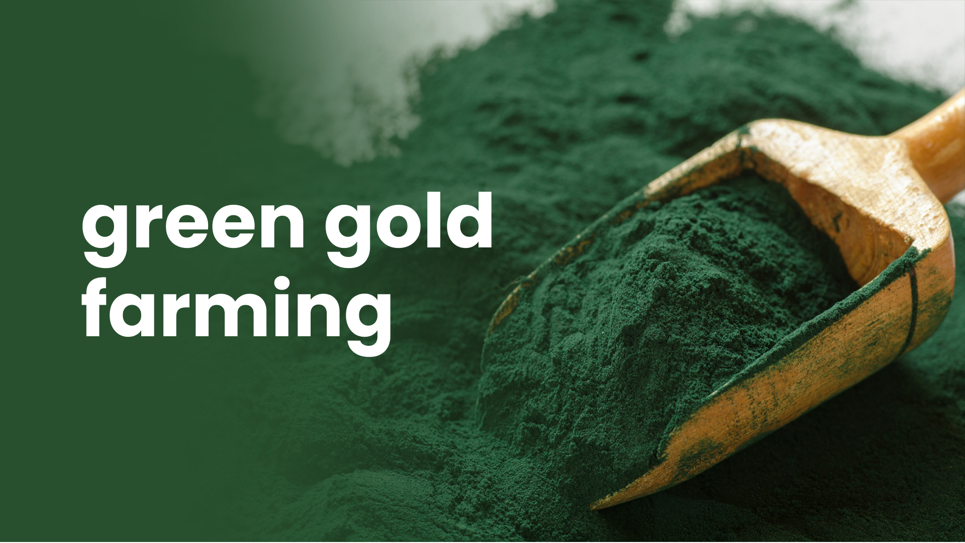 Course Trailer: Guide to Advanced Spirulina Farming: Earn 1 crore / acre. Watch to know more.