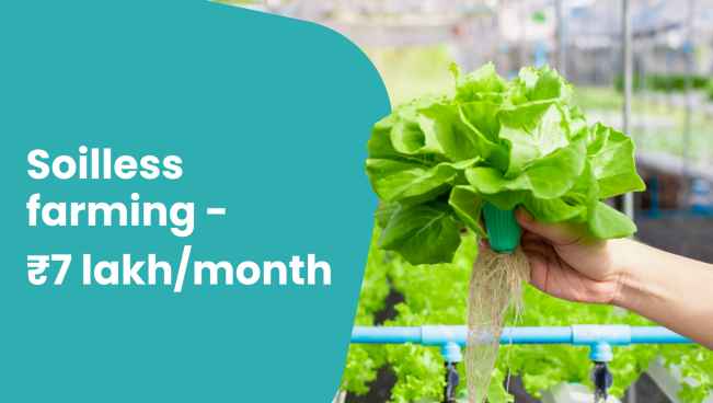 Course Trailer: Hydroponics Farming - Earn 7 lakh/month. Watch to know more.