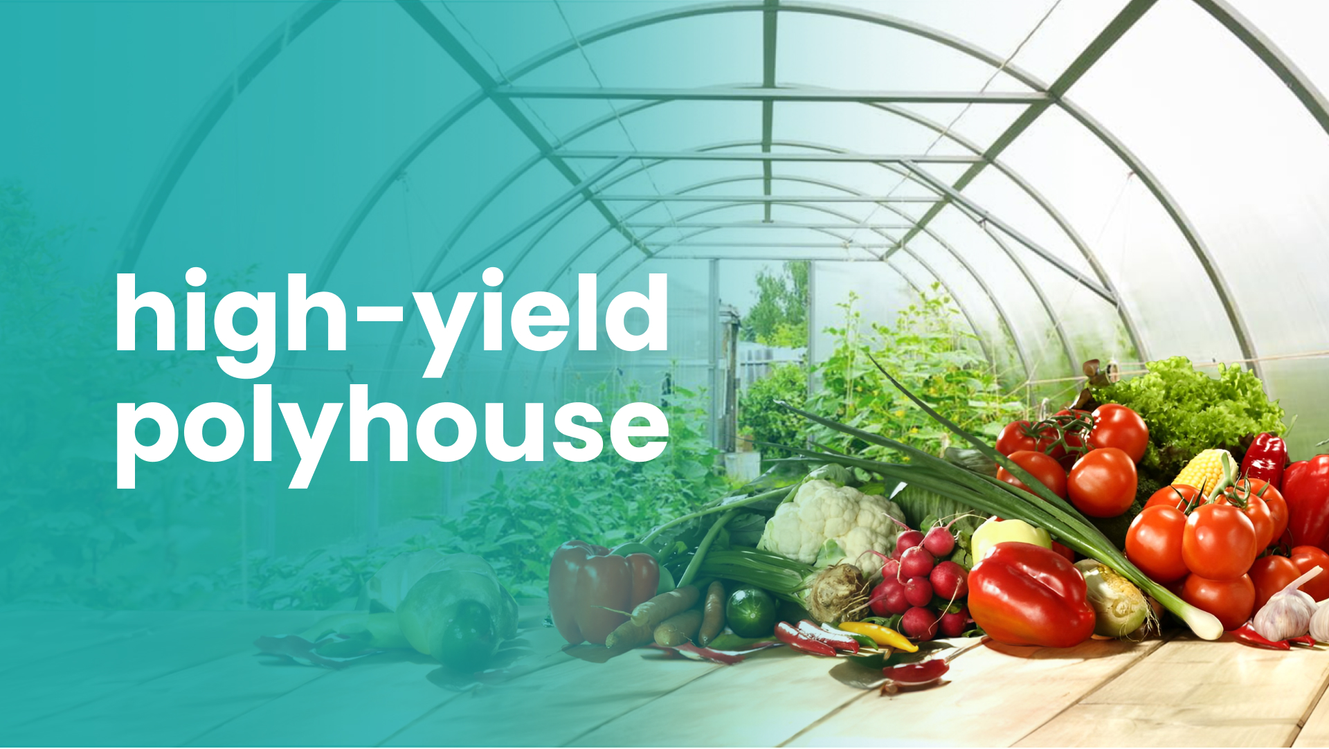 Course Trailer: Polyhouse Vegetable Farming - Earn up to 40 Lakhs/Acre. Watch to know more.