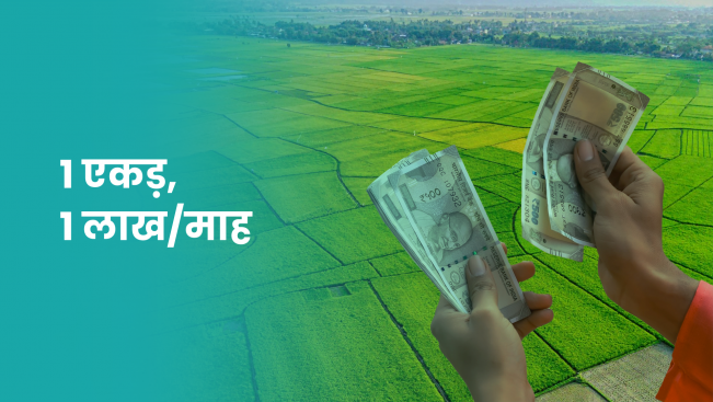 कोर्स ट्रेलर: कृषि पर कोर्स - 1 एकड़ कृषि भूमि से ₹1 लाख/माह कमाएं। अधिक जानने के लिए देखें।