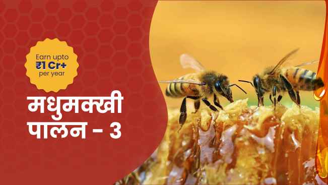 कोर्स ट्रेलर: मधु मक्खी पालन कोर्स - सालाना ₹1 करोड़ कमाएं। अधिक जानने के लिए देखें।