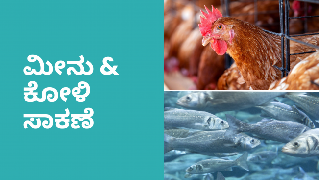 How to Start a Integrated Fish & Poultry Farming i