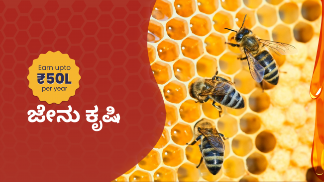 Complete Honey Bee Farming Course in India