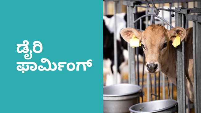 Dairy Farming Course Online