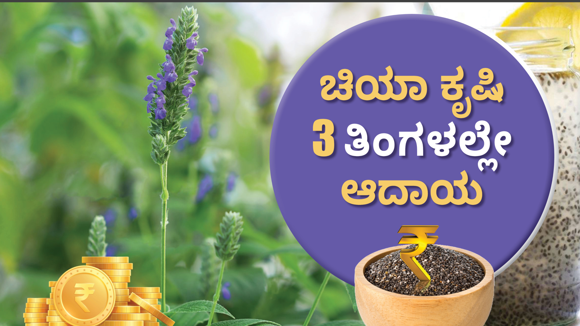 ಕೋರ್ಸ್ ಟ್ರೈಲರ್: ಚಿಯಾ ಕೃಷಿ ಮಾಡಿ 3 ತಿಂಗಳಲ್ಲಿ ಆದಾಯ ಗಳಿಸಿ. ಇನ್ನಷ್ಟು ತಿಳಿಯಲು ವೀಕ್ಷಿಸಿ.