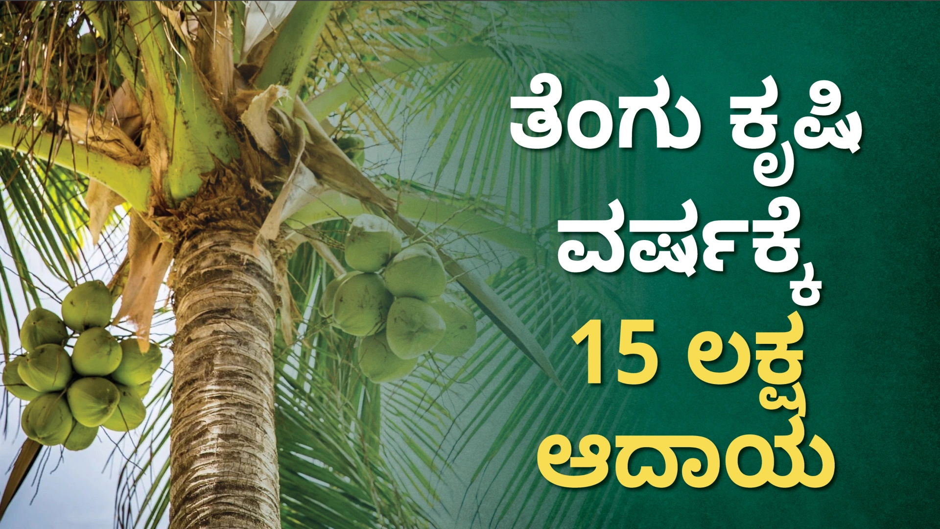 ಕೋರ್ಸ್ ಟ್ರೈಲರ್: ಸಾವಯವ ತೆಂಗಿನ ಕೃಷಿ - ವರ್ಷಕ್ಕೆ 15 ಲಕ್ಷದವರೆಗೆ ಗಳಿಸಿ. ಇನ್ನಷ್ಟು ತಿಳಿಯಲು ವೀಕ್ಷಿಸಿ.