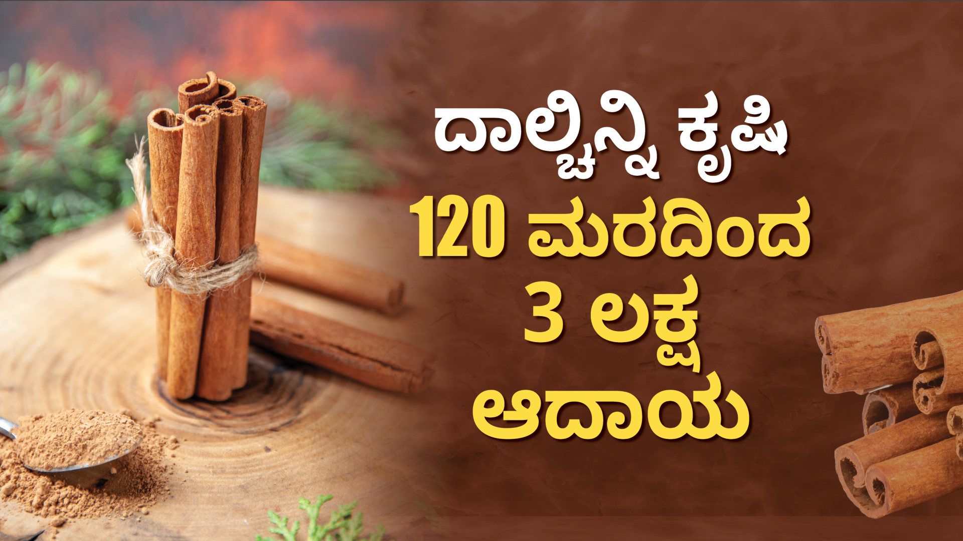 ಕೋರ್ಸ್ ಟ್ರೈಲರ್: ದಾಲ್ಚಿನ್ನಿ ಕೃಷಿ - 120 ಗಿಡ 3 ಲಕ್ಷ ರೂ. ಆದಾಯ!. ಇನ್ನಷ್ಟು ತಿಳಿಯಲು ವೀಕ್ಷಿಸಿ.