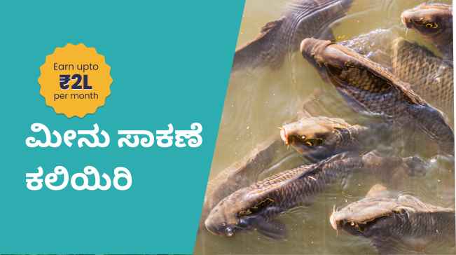 How to start Fish Farming business in India?
