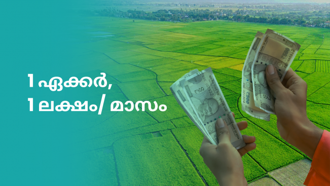 How to earn 1 lakhs in 1 month from Agri-land